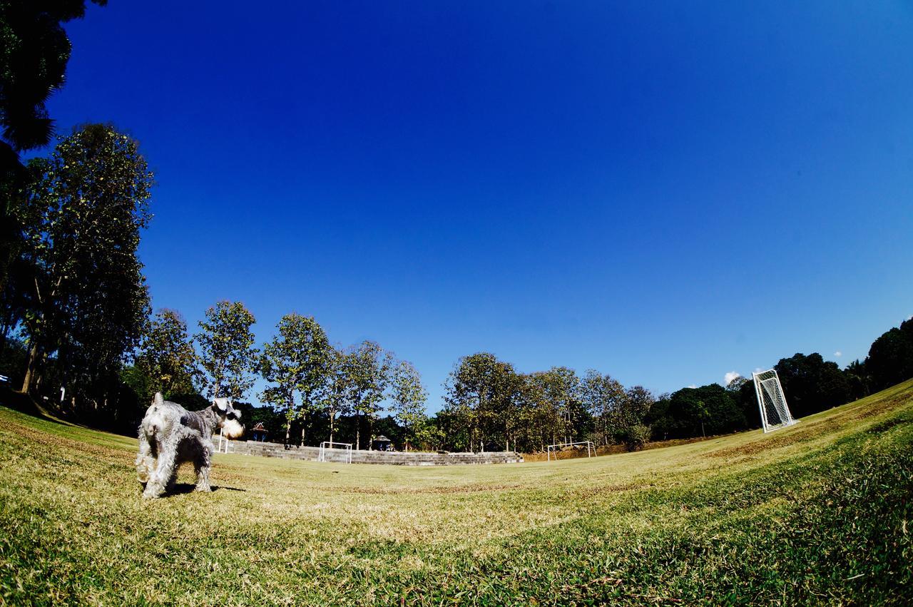 The Teak Resort Chiangdao Chiang Dao Εξωτερικό φωτογραφία